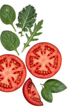 Fresh tomatoes and kale leaves